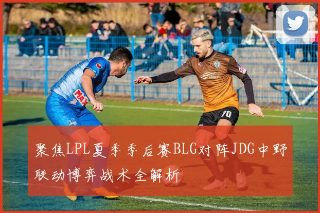 聚焦LPL夏季季后赛BLG对阵JDG中野联动博弈战术全解析