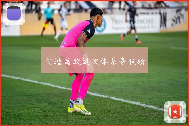 打造高效进攻体系争佳绩