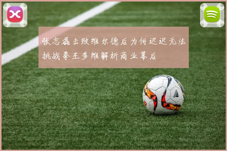 张志磊击败维尔德后为何迟迟无法挑战拳王多维解析商业幕后